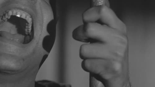 La primera mirada: historia de una escuela de cine Bild 1