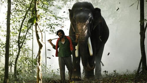 காடன் Bild 5