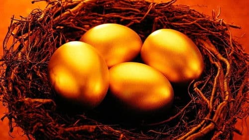 Die Millionen-Dollar-Ente Bild 4