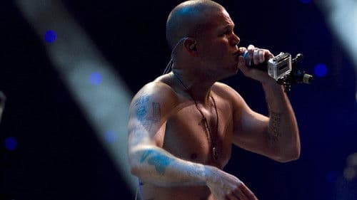 Calle 13 Festival de Viña del Mar Bild 1