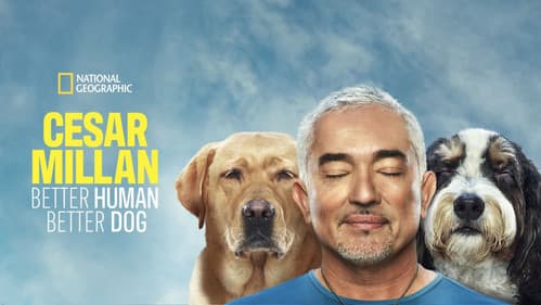 Cesar Millan: Guter Mensch guter Hund Bild 6