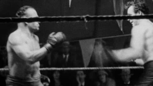 The Shakedown Bild 4