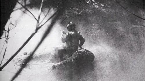 Die toten Fische Bild 3