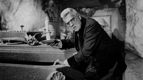 Die Hexenküche des Dr. Rambow Bild 7