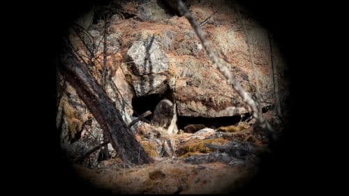 Тэнгэрийн хүү Bild 8