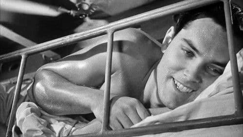 Sailor of the King Bild 7