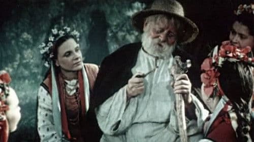 Майская ночь, или Утопленница Bild 1