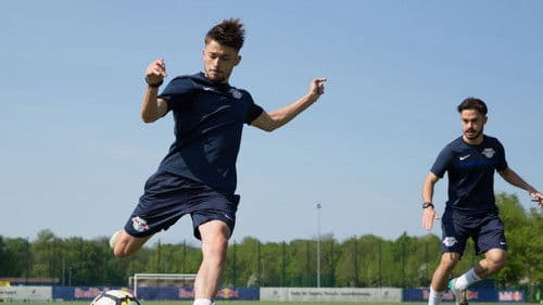 Signed or Released Bild 2