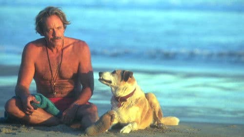 Water Time: Surf Travel Diary of a MadMan Bild 6