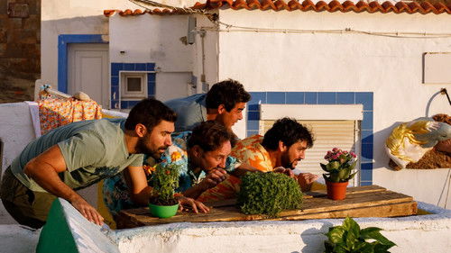 De perdidos a Río Bild 5