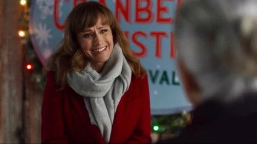 Cranberry Christmas Bild 2