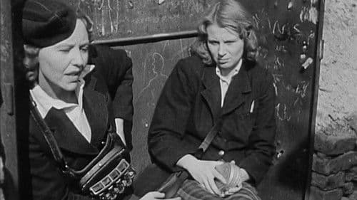 Straßenbekanntschaft Bild 2