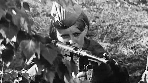 Im Morgengrauen ist es noch still Bild 5