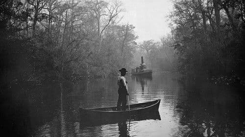 Invisible History: Middle Florida's Hidden Roots Bild 1