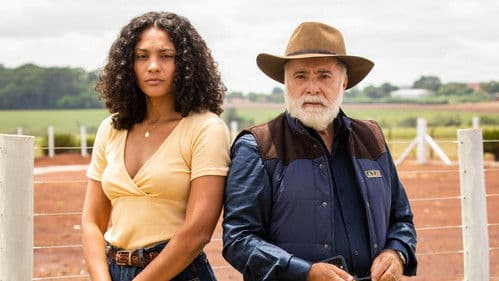 Terra e Paixão Bild 4