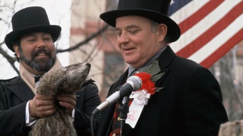 Und täglich grüßt das Murmeltier Bild 6