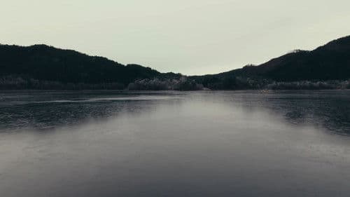 Portrait of a Song Bild 5