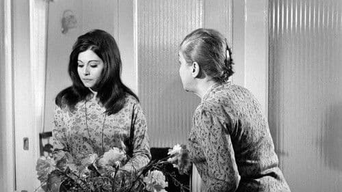 Πάρε Κόσμε Bild 5