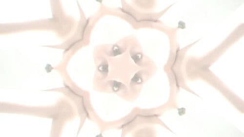 Flower of Flesh, Celestial Body Bild 8