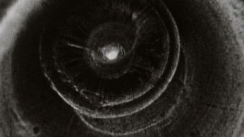 Les achalunés Bild 2