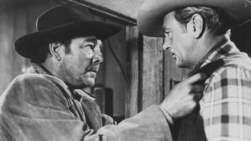 Gegenspionage Bild 8