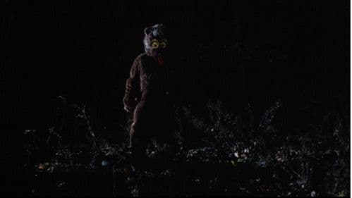 Girls Nite Out Bild 5