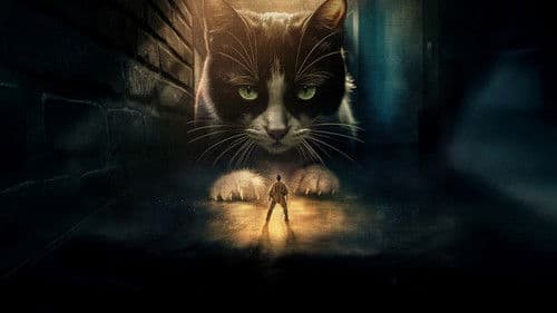 Der Mann, der immer kleiner wurde Bild 2