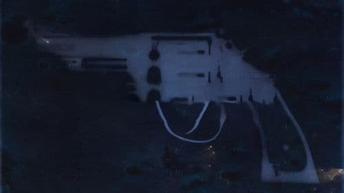 Operation Undercover: Guns & Drugs in Carolina Bild 2