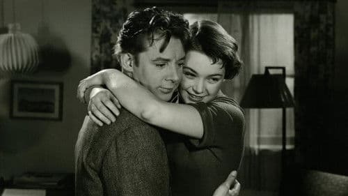 Sukceskomponisten Bild 3