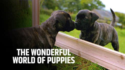 The Wonderful World of Puppies Bild 1