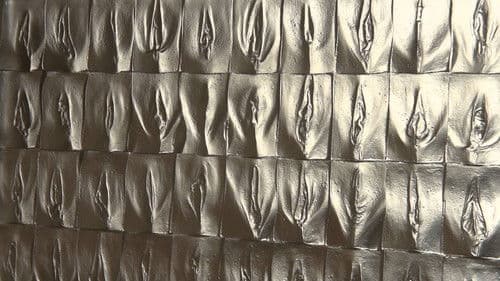 The Perfect Vagina Bild 1