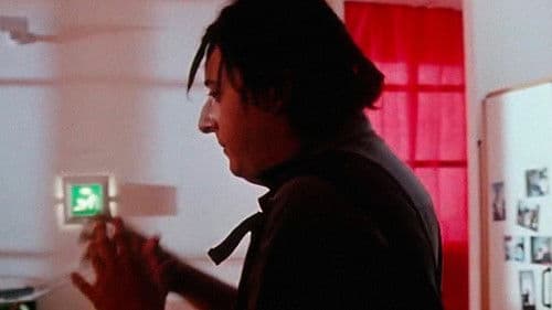 Piovono mucche Bild 4