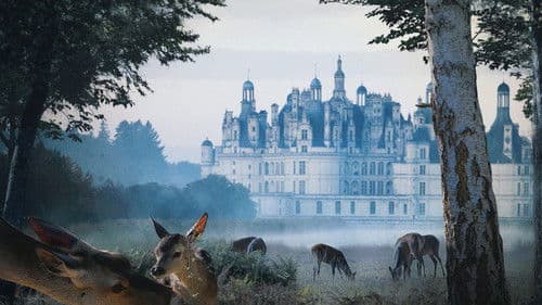 Chambord Bild 4
