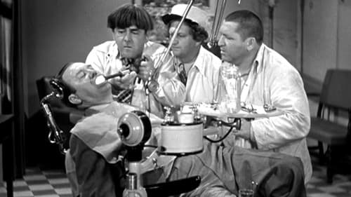 All the World's a Stooge Bild 1