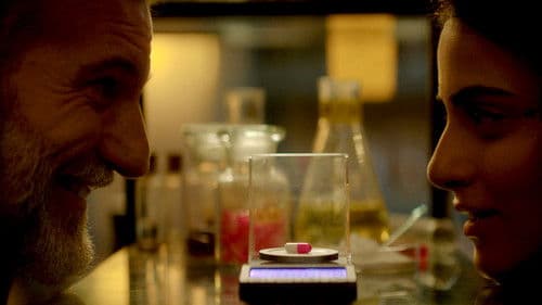 सास, बहू और फ्लेमिंगो Bild 4