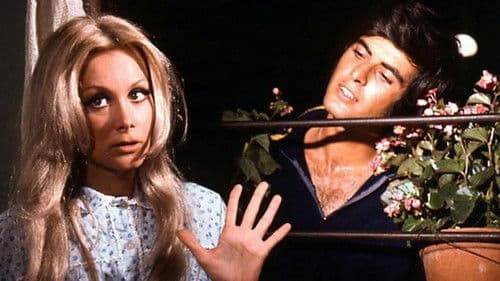 Tatlı Dillim Bild 1