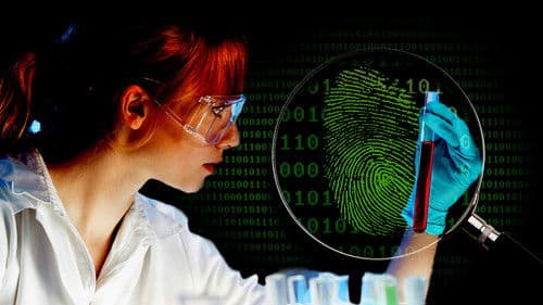 Medical Detectives – Geheimnisse der Gerichtsmedizin Bild 4