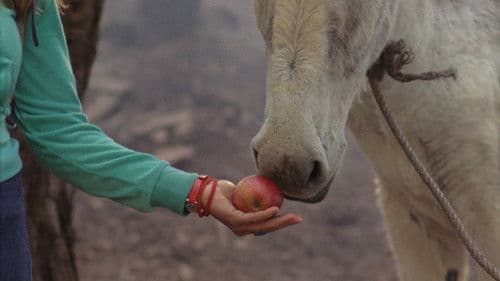 Heitor Sem Nome Bild 1