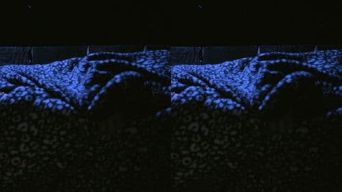 Nymphs on Granite Rock Bild 4