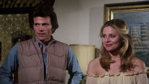 Highway Cowboy Bild 7