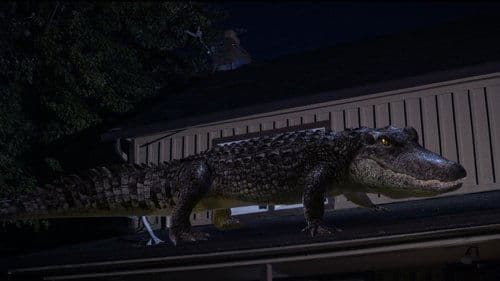 Bad CGI Gator Bild 1