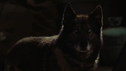 Howling - Der Killer in dir Bild 5