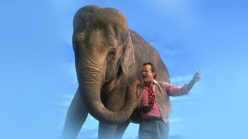 Die dicke Vera Bild 1