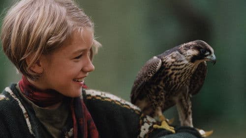 Katja und der Falke Bild 1