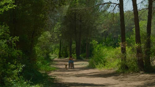 Los pequeños amores Bild 8