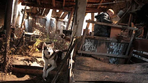 Сибирь. Монамур Bild 5