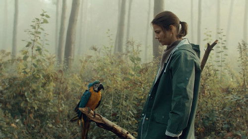 Kommt ein Vogel geflogen Bild 1