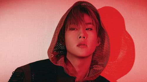 TURN ON THE LIGHTS Bild 2