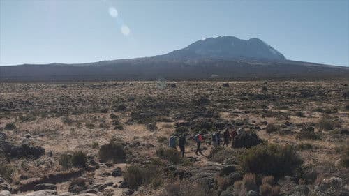 Kilimandscharo - diesmal mit Krücken Bild 4