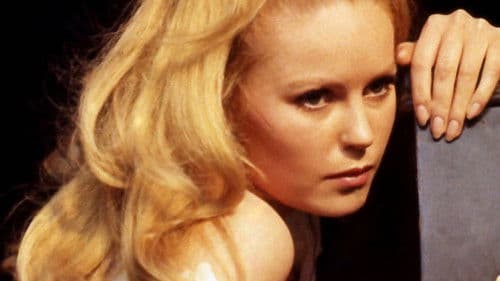 Tödlicher Salut Bild 3